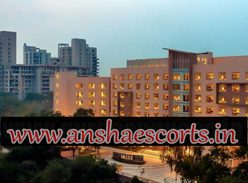 Udyog Vihar Escorts Services In Gurgaon